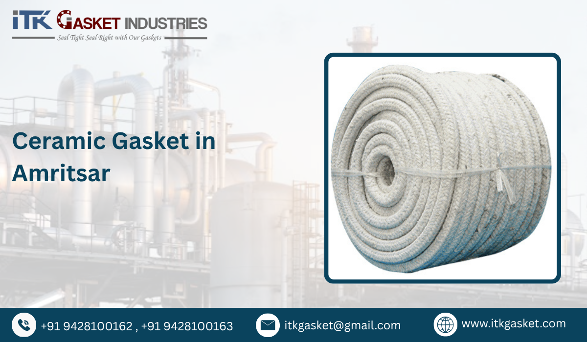 Ceramic Gasket in Amritsar