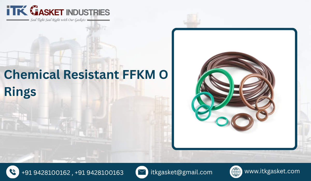 Chemical Resistant FFKM O Rings