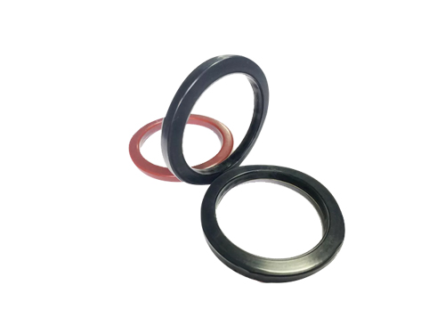 FEP/PFA Encapsulated Camlock Gaskets