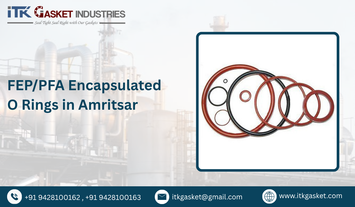 FEP/PFA Encapsulated O Rings in Amritsar