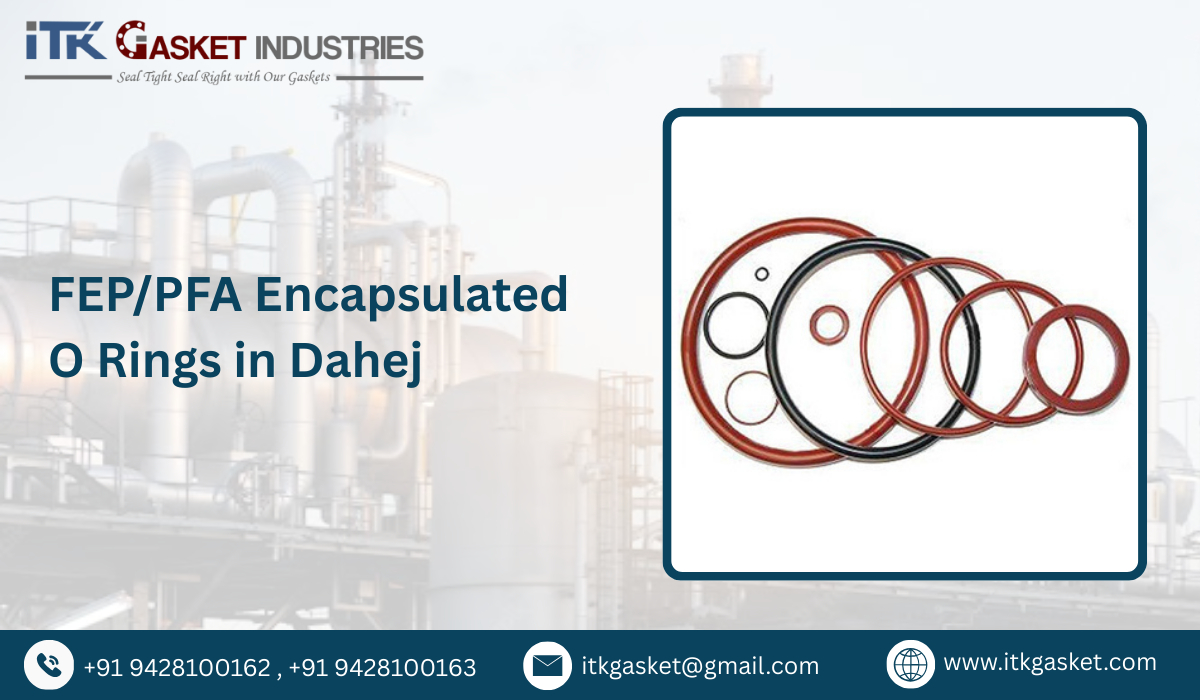FEP/PFA Encapsulated O Rings in Dahej