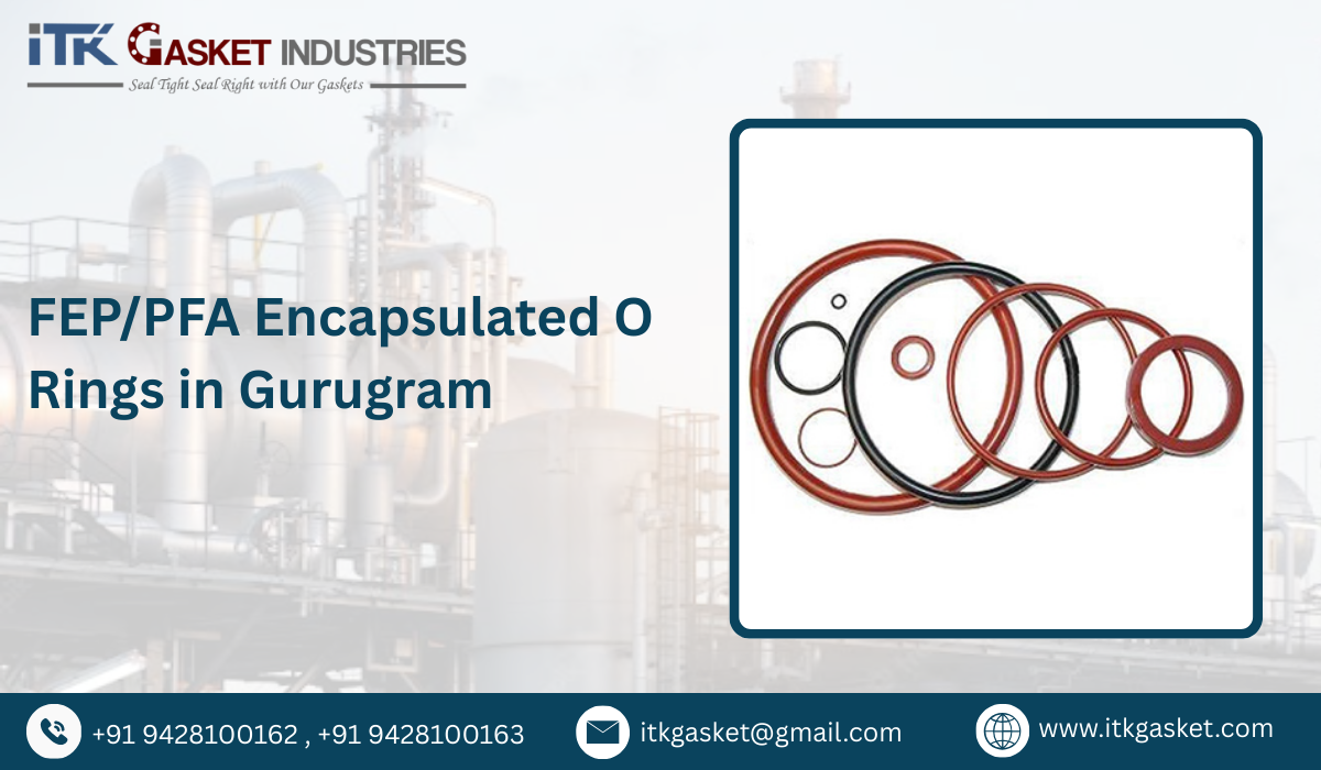 FEP/PFA Encapsulated O Rings in Gurugram