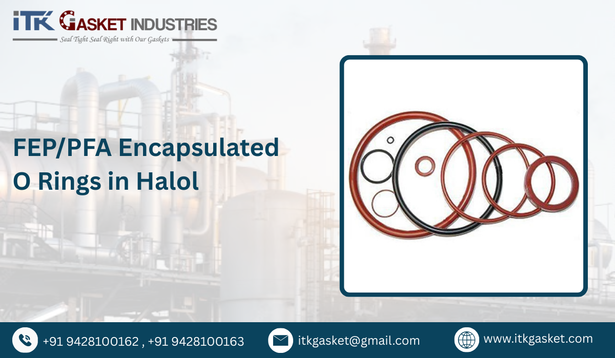 FEP/PFA Encapsulated O Rings in Halol