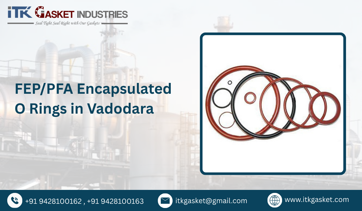 FEP/PFA Encapsulated O Rings in Vadodara
