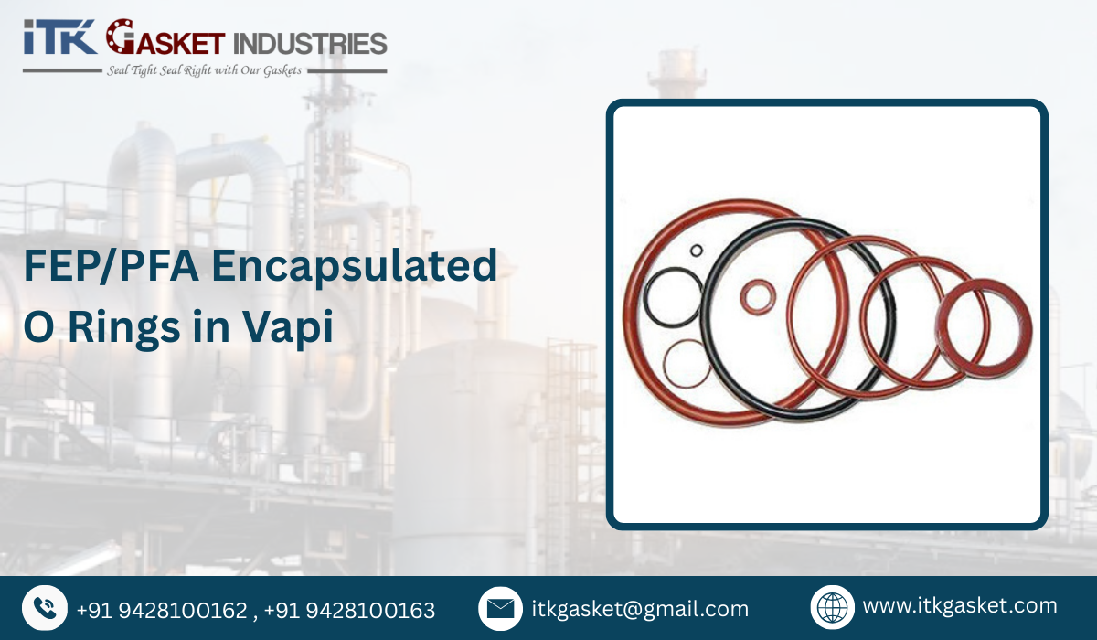 FEP/PFA Encapsulated O Rings in Vapi