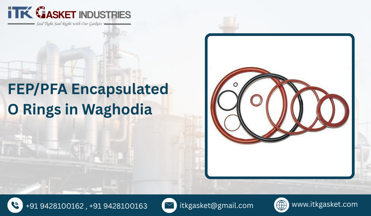 FEP/PFA Encapsulated O Rings in Waghodia